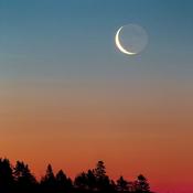 Podcast Podcasts sobre Astrologia