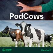 Podcast PodCows (SE)