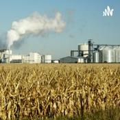 Podcast Produção Do Álcool