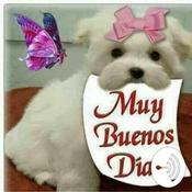 Podcast Recs and Effects