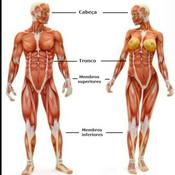 Podcast Sintomas E Doenças