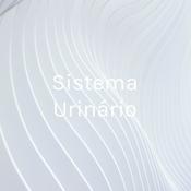 Podcast Sistema Urinário: Os rins e suas funções