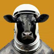 Podcast The Beef Podcast Show