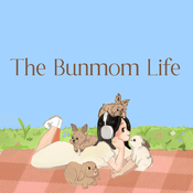Podcast The Bunmom Life Podcast