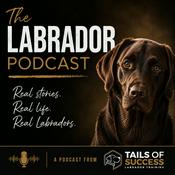 Podcast The Labrador Podcast - From Tails of Success Labrador Training