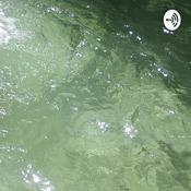 Podcast Thinking Aloud