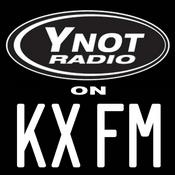 Podcast Y-Not Radio