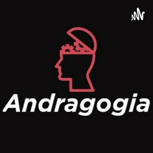 Andragogia e os Princípios Fundamentais da Aprendizagem