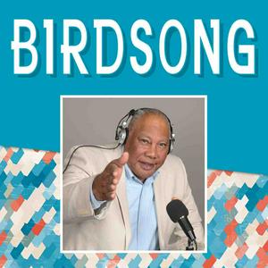 Birdsong