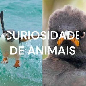 CURIOSIDADE DE ANIMAIS