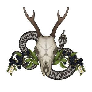 Diary Of A Folk Witch