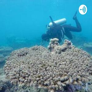 Dying Oceans