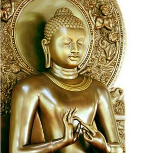 Forest Sangha Dhamma Talk Series