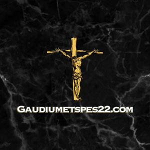 Ouça Gaudiumetspes22 podcast na aplicação
