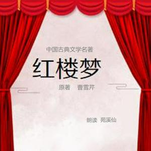 红楼梦原著 曹雪芹著（前八十回）