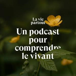 La vie partout