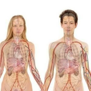 Sexualidade e Curiosidades