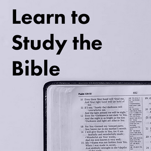 LearnToStudyTheBible.org