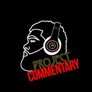 Project Commentary