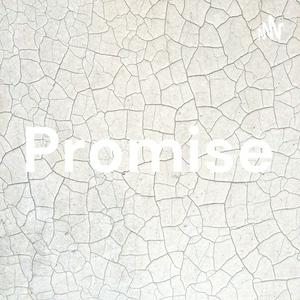 Promise