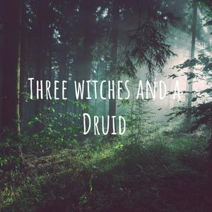 Three Witches and a Druid