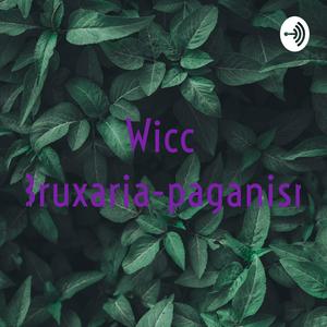 Wicca-Bruxaria-paganismo
